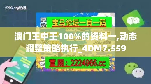 澳门王中王100%的资料一,动态调整策略执行_4DM7.559