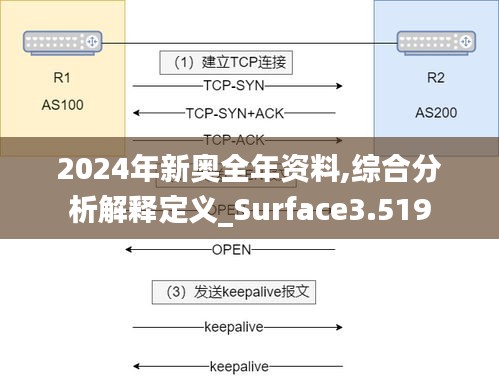 2024年新奥全年资料,综合分析解释定义_Surface3.519