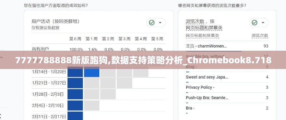 7777788888新版跑狗,数据支持策略分析_Chromebook8.718