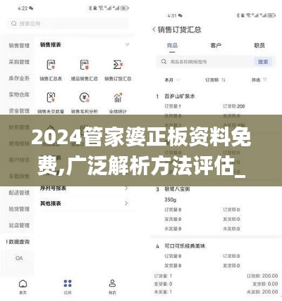 2024管家婆正板资料免费,广泛解析方法评估_苹果4.782