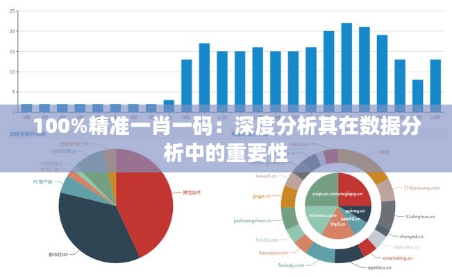 100%精准一肖一码：深度分析其在数据分析中的重要性