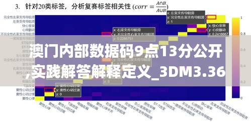 澳门内部数据码9点13分公开,实践解答解释定义_3DM3.365