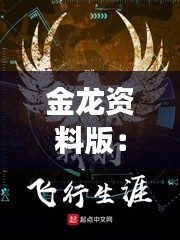 金龙资料版：窥见历史的辉煌篇章