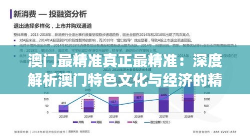 澳门最精准真正最精准：深度解析澳门特色文化与经济的精准发展动因