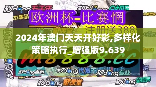 2024年澳门天天开好彩,多样化策略执行_增强版9.639