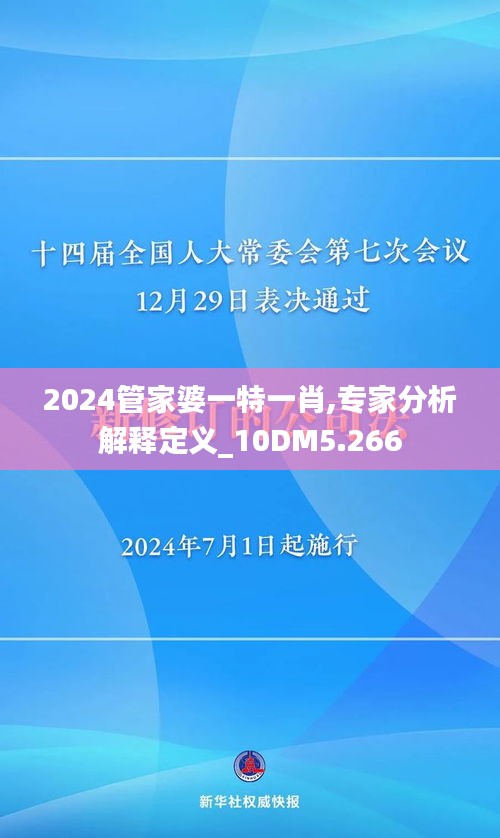 2024管家婆一特一肖,专家分析解释定义_10DM5.266