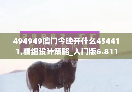 494949澳门今晚开什么454411,精细设计策略_入门版6.811