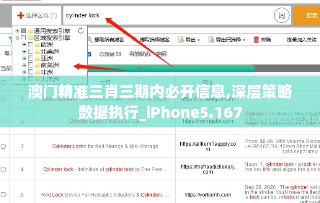 澳门精准三肖三期内必开信息,深层策略数据执行_iPhone5.167