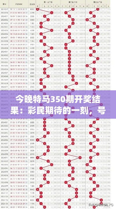 今晚特马350期开奖结果：彩民期待的一刻，号码揭晓，梦想成真？