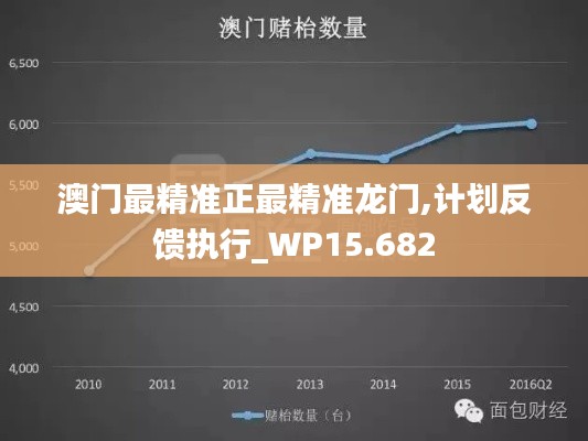 澳门最精准正最精准龙门,计划反馈执行_WP15.682