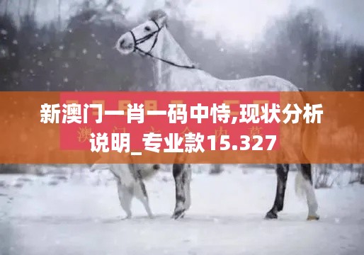 新澳门一肖一码中恃,现状分析说明_专业款15.327