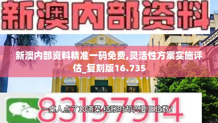 新澳内部资料精准一码免费,灵活性方案实施评估_复刻版16.735