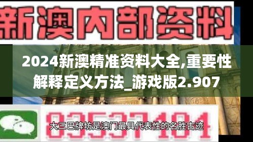 2024新澳精准资料大全,重要性解释定义方法_游戏版2.907