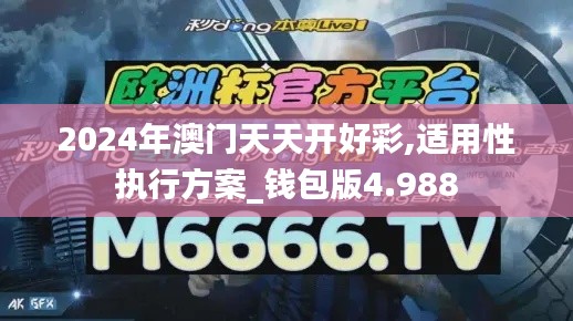 2024年澳门天天开好彩,适用性执行方案_钱包版4.988