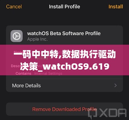 一码中中特,数据执行驱动决策_watchOS9.619