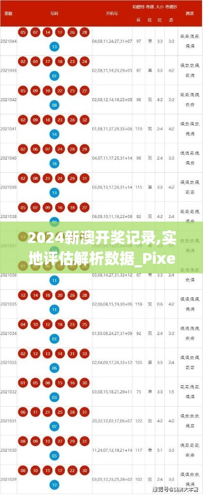 2024新澳开奖记录,实地评估解析数据_Pixel11.346