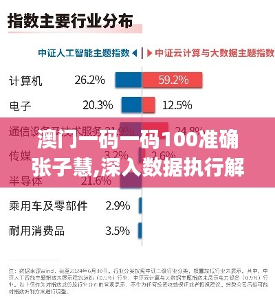 澳门一码一码100准确张子慧,深入数据执行解析_BT12.976