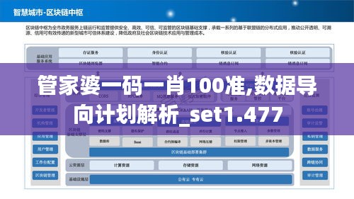 管家婆一码一肖100准,数据导向计划解析_set1.477