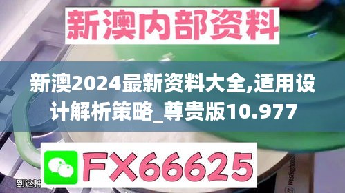 新澳2024最新资料大全,适用设计解析策略_尊贵版10.977