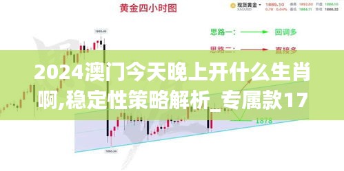 2024澳门今天晚上开什么生肖啊,稳定性策略解析_专属款17.951