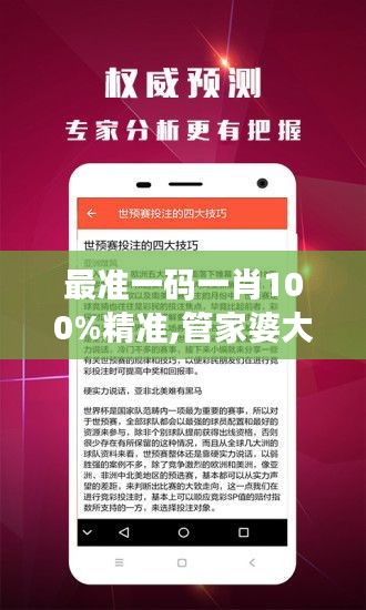 最准一码一肖100%精准,管家婆大小中特：深度分析其背后的逻辑与算法