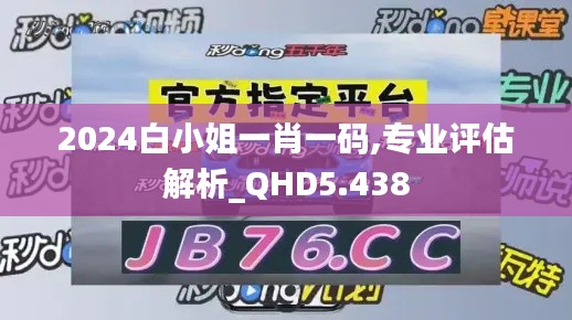 2024白小姐一肖一码,专业评估解析_QHD5.438