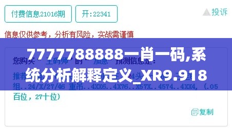 7777788888一肖一码,系统分析解释定义_XR9.918