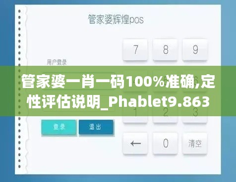 管家婆一肖一码100%准确,定性评估说明_Phablet9.863