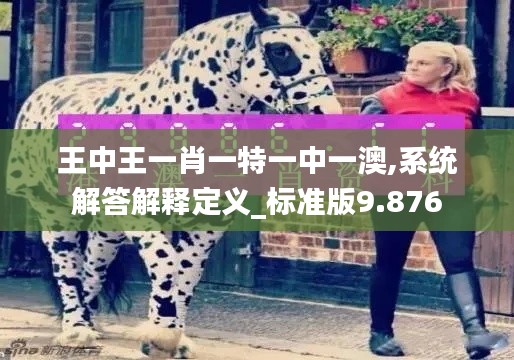 王中王一肖一特一中一澳,系统解答解释定义_标准版9.876