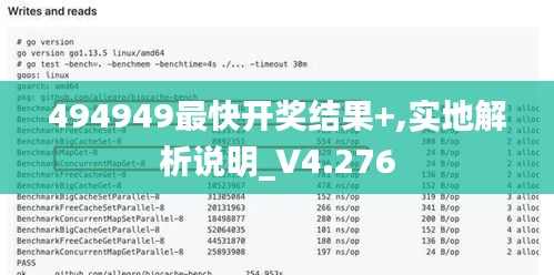 494949最快开奖结果+,实地解析说明_V4.276