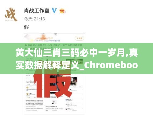 黄大仙三肖三码必中一岁月,真实数据解释定义_Chromebook2.477