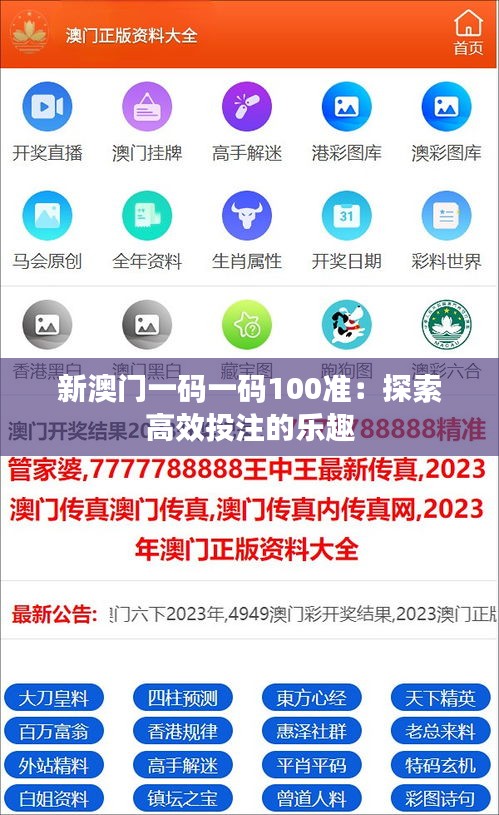 新澳门一码一码100准：探索高效投注的乐趣