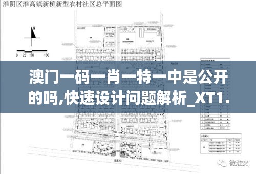 澳门一码一肖一特一中是公开的吗,快速设计问题解析_XT1.662