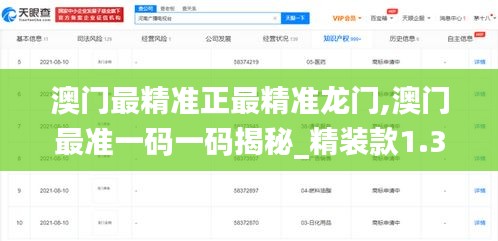 澳门最精准正最精准龙门,澳门最准一码一码揭秘_精装款1.330