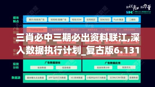 三肖必中三期必出资料联江,深入数据执行计划_复古版6.131