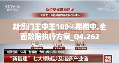 新澳门王中王100%期期中,全面数据执行方案_Q4.262