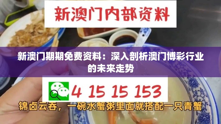 新澳门期期免费资料：深入剖析澳门博彩行业的未来走势