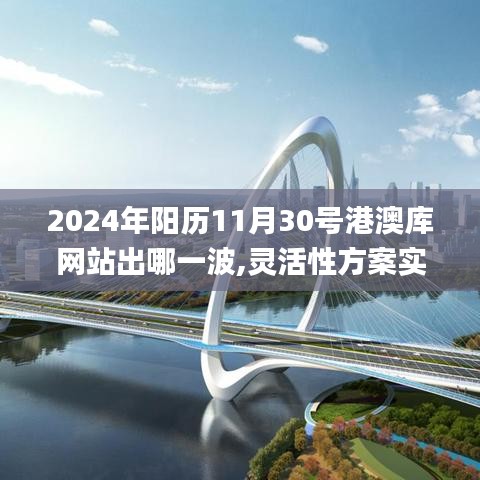 2024年阳历11月30号港澳库网站出哪一波,灵活性方案实施评估_工具版2.963