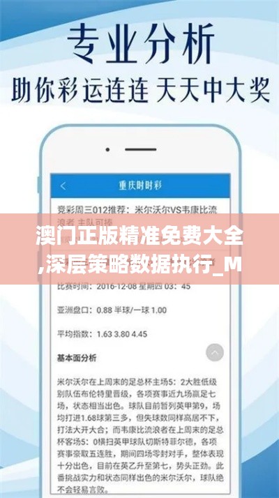 澳门正版精准免费大全,深层策略数据执行_Max4.143