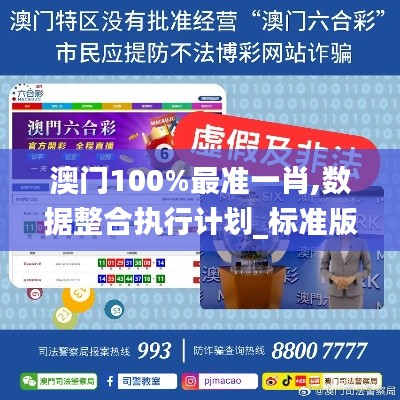 澳门100%最准一肖,数据整合执行计划_标准版8.437