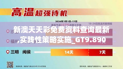 新澳天天彩免费资料查询最新,实践性策略实施_GT9.890