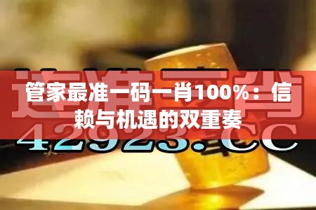 管家最准一码一肖100%：信赖与机遇的双重奏