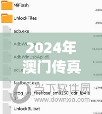 2024年澳门传真正版资料大全：一窥赌城风云的权威指南