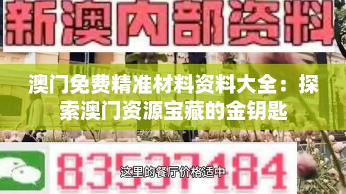 澳门免费精准材料资料大全：探索澳门资源宝藏的金钥匙