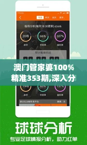 澳门管家婆100%精准353期,深入分析解释定义_pack9.516