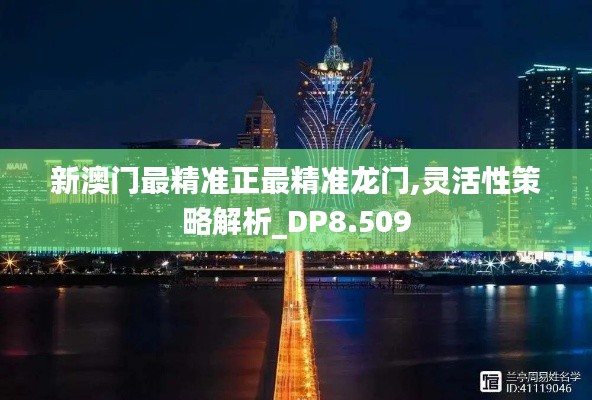 新澳门最精准正最精准龙门,灵活性策略解析_DP8.509